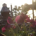 Smaragdi Luxury Σκάλα Σωτήρος
